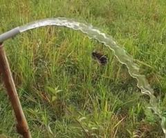 Jasa Sumur Bor Kangkung dan Biaya Jasa Buat Sumur Bor